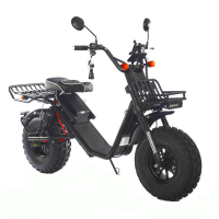 Электроскутер Skyboard Kamchatka 3000W