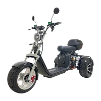 Электроскутер CITYCOCO X12 TRIKE Черный глянец